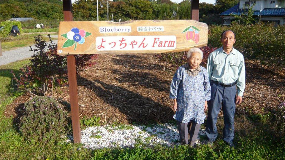 よっちゃんFarm